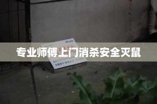 专业师傅上门消杀安全灭鼠
