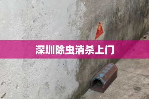 深圳除虫消杀上门