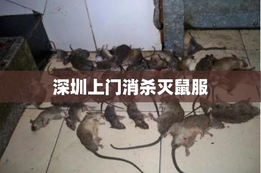 深圳上门消杀灭鼠服
