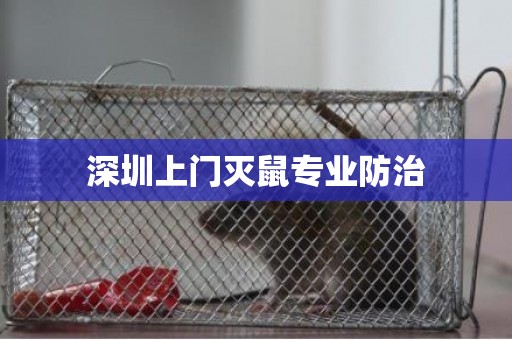 深圳上门灭鼠专业防治