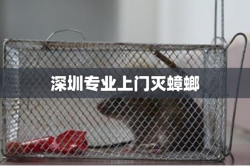 深圳专业上门灭蟑螂