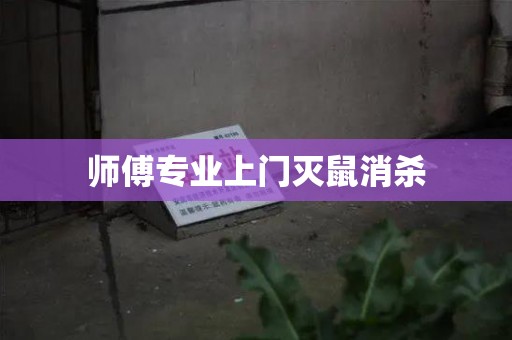 师傅专业上门灭鼠消杀