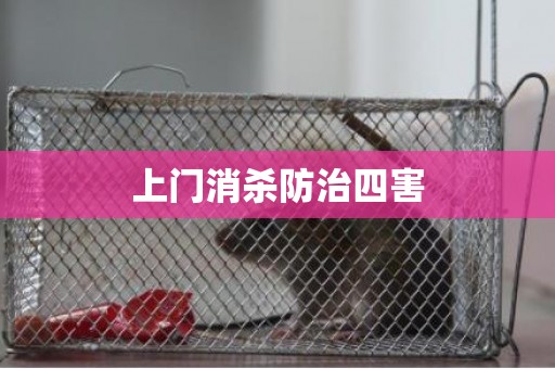 上门消杀防治四害