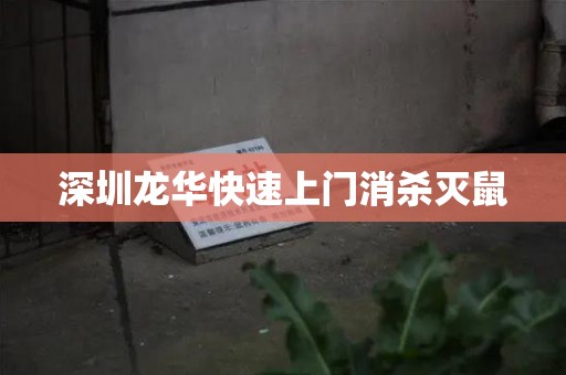 深圳龙华快速上门消杀灭鼠