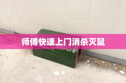 师傅快速上门消杀灭鼠