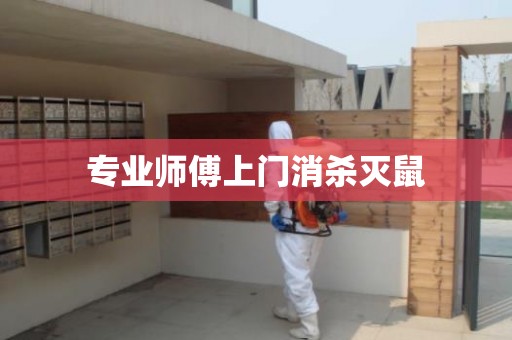 专业师傅上门消杀灭鼠