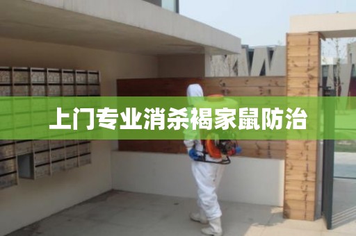 上门专业消杀褐家鼠防治