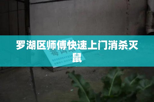 罗湖区师傅快速上门消杀灭鼠