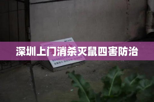 深圳上门消杀灭鼠四害防治