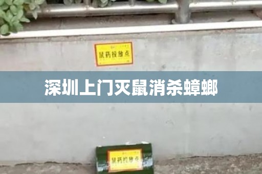 深圳上门灭鼠消杀蟑螂