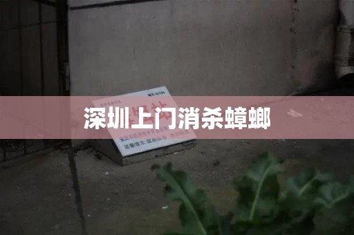深圳上门消杀蟑螂