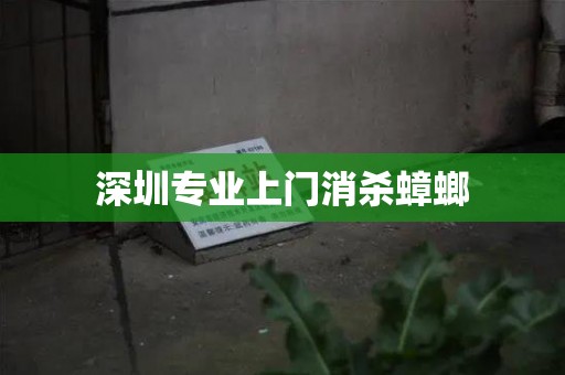 深圳专业上门消杀蟑螂