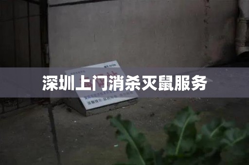 深圳上门消杀灭鼠服务