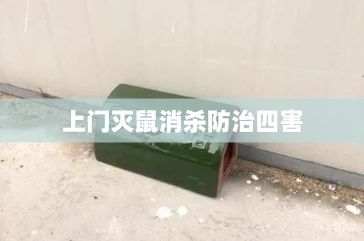 上门灭鼠消杀防治四害