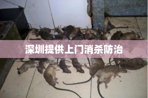 深圳提供上门消杀防治
