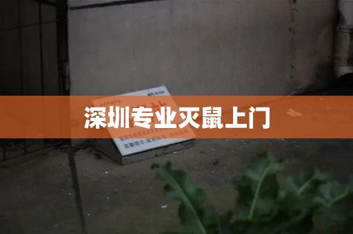 深圳专业灭鼠上门