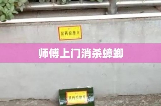 师傅上门消杀蟑螂