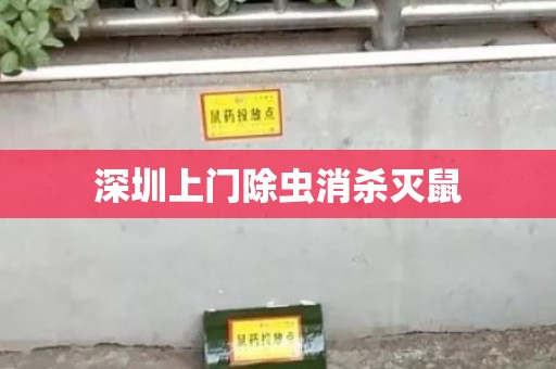 深圳上门除虫消杀灭鼠