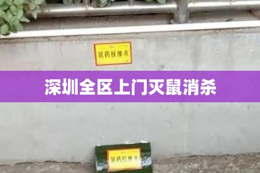 深圳全区上门灭鼠消杀