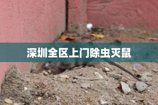 深圳全区上门除虫灭鼠