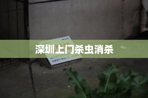深圳上门杀虫消杀