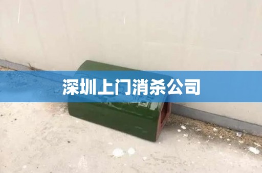 深圳上门消杀公司