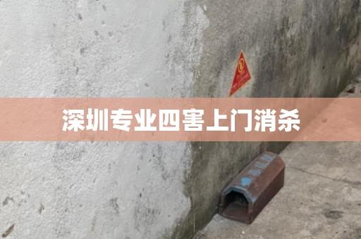 深圳专业四害上门消杀