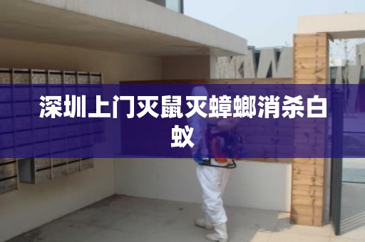 深圳上门灭鼠灭蟑螂消杀白蚁
