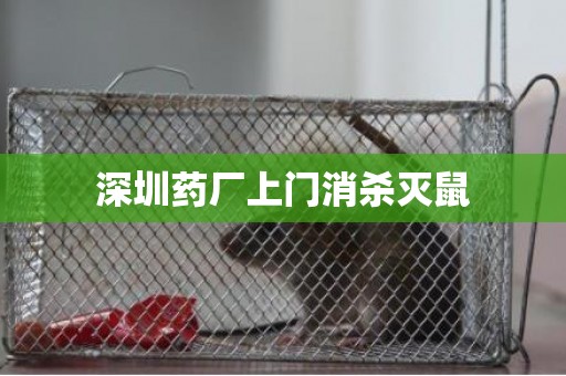 深圳药厂上门消杀灭鼠