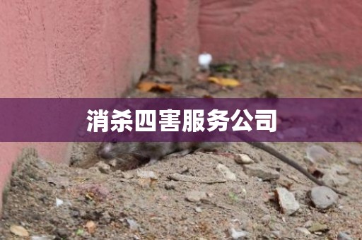 消杀四害服务公司