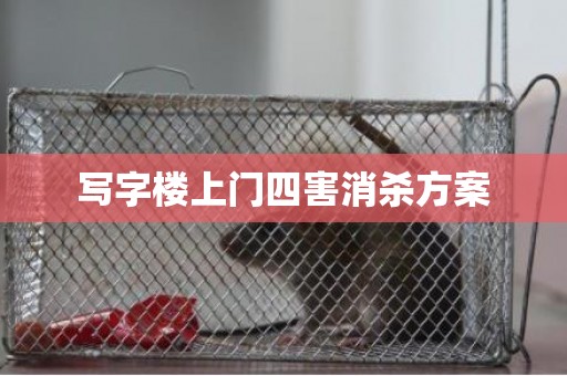 写字楼上门四害消杀方案