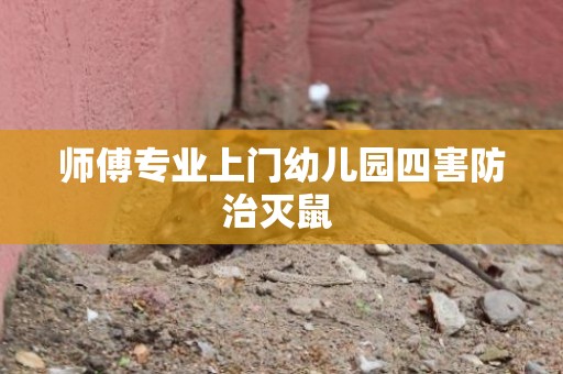 师傅专业上门幼儿园四害防治灭鼠 