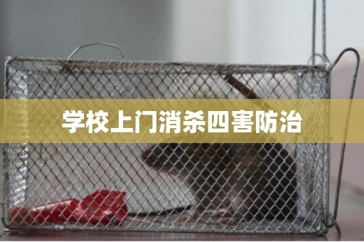 学校上门消杀四害防治