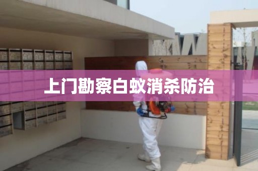 上门勘察白蚁消杀防治