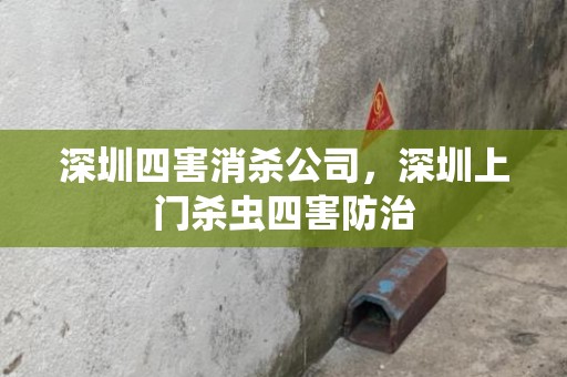深圳四害消杀公司，深圳上门杀虫四害防治