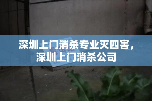 深圳上门消杀专业灭四害，深圳上门消杀公司