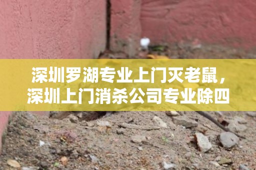 深圳罗湖专业上门灭老鼠，深圳上门消杀公司专业除四害