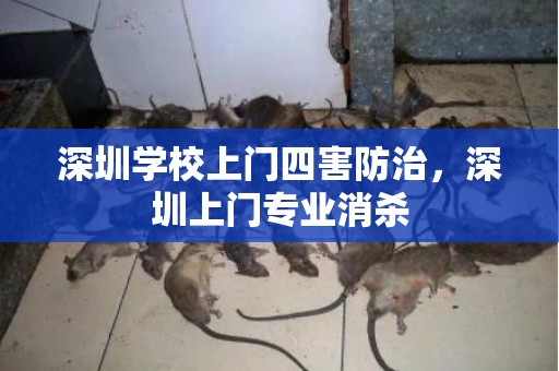 深圳学校上门四害防治，深圳上门专业消杀