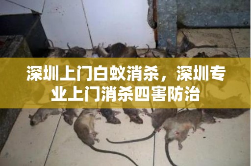 深圳上门白蚁消杀，深圳专业上门消杀四害防治