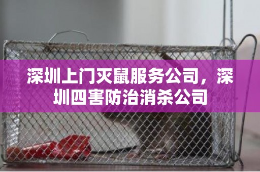 深圳上门灭鼠服务公司，深圳四害防治消杀公司