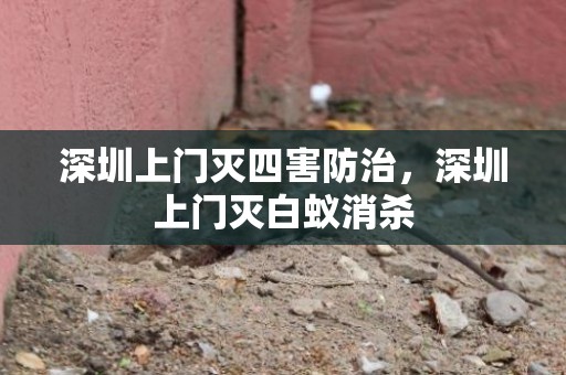 深圳上门灭四害防治，深圳上门灭白蚁消杀