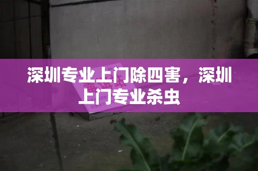 深圳专业上门除四害，深圳上门专业杀虫