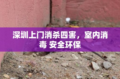 深圳上门消杀四害，室内消毒 安全环保