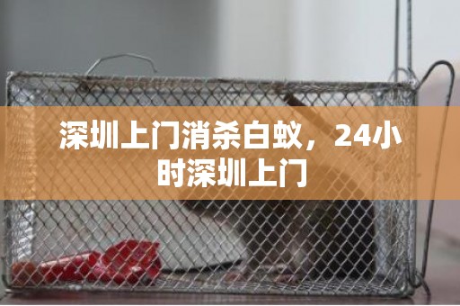 深圳上门消杀白蚁，24小时深圳上门
