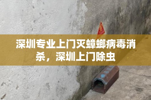 深圳专业上门灭蟑螂病毒消杀，深圳上门除虫