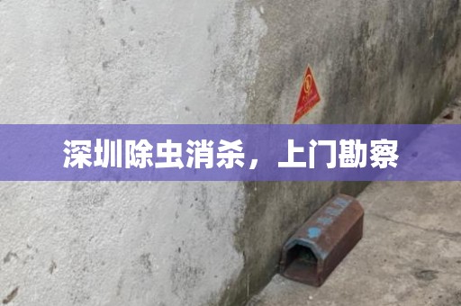 深圳除虫消杀，上门勘察