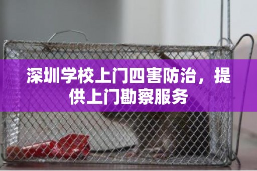 深圳学校上门四害防治，提供上门勘察服务