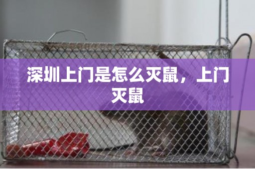 深圳上门是怎么灭鼠，上门灭鼠