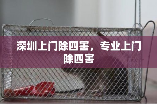 深圳上门除四害，专业上门除四害