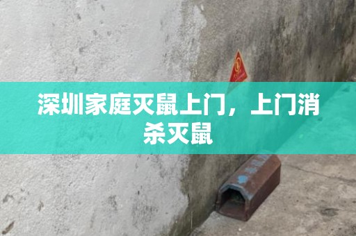 深圳家庭灭鼠上门，上门消杀灭鼠